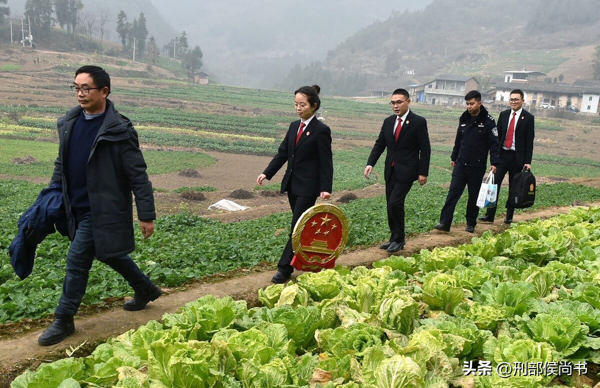 基层员额法官:工资涨一点,压力翻几倍,到底值不值?