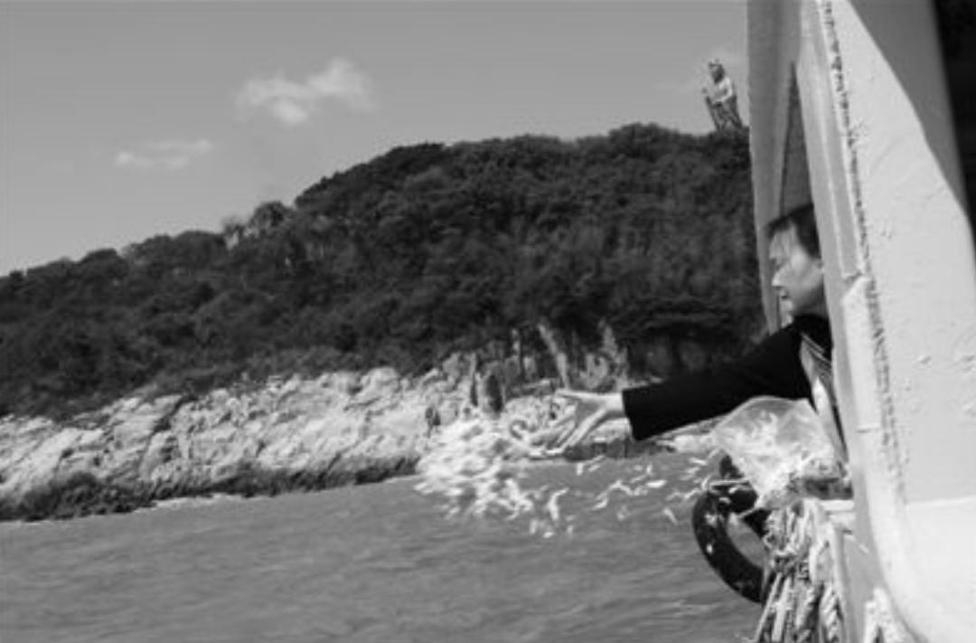 人死后的骨灰可以分几份存放吗,骨灰下葬多年后会变成什么