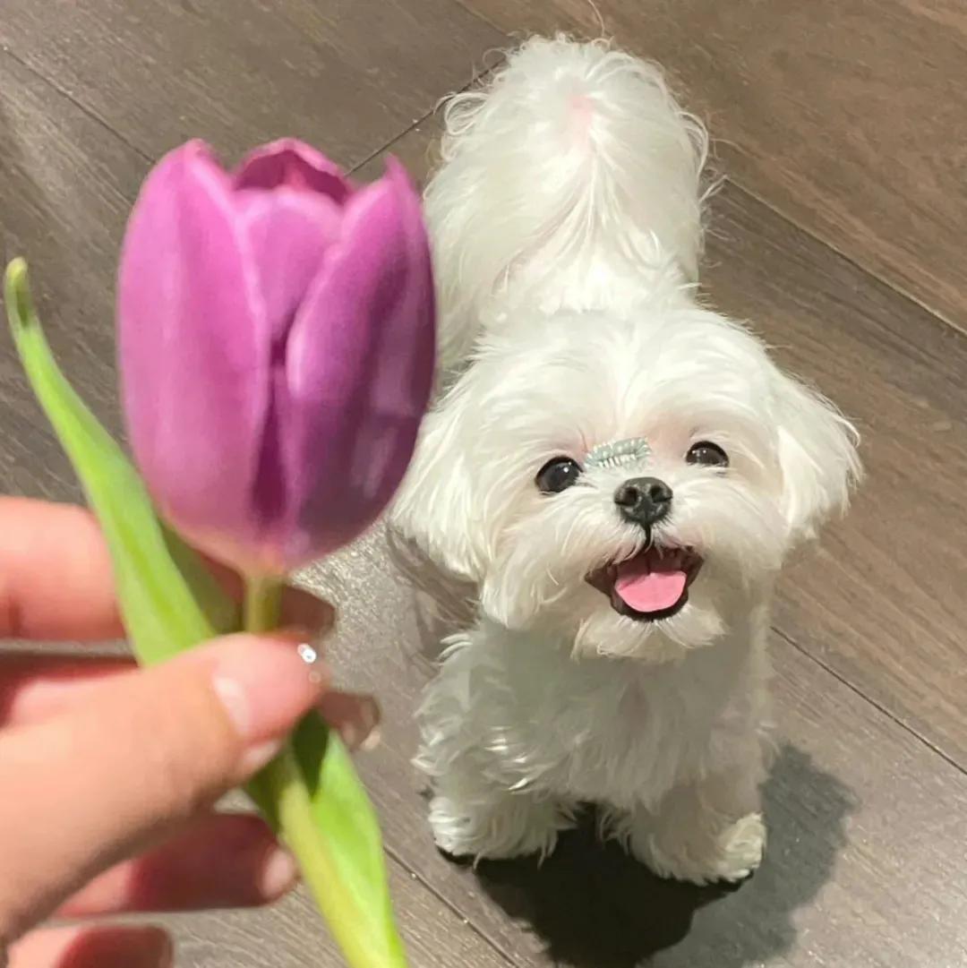 闺蜜网名霸气女生,健身网名女生霸气