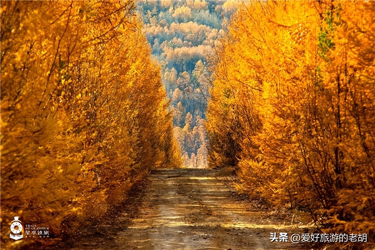 星享铁旅旅游专列,呼伦贝尔号旅游列车多少天旅程