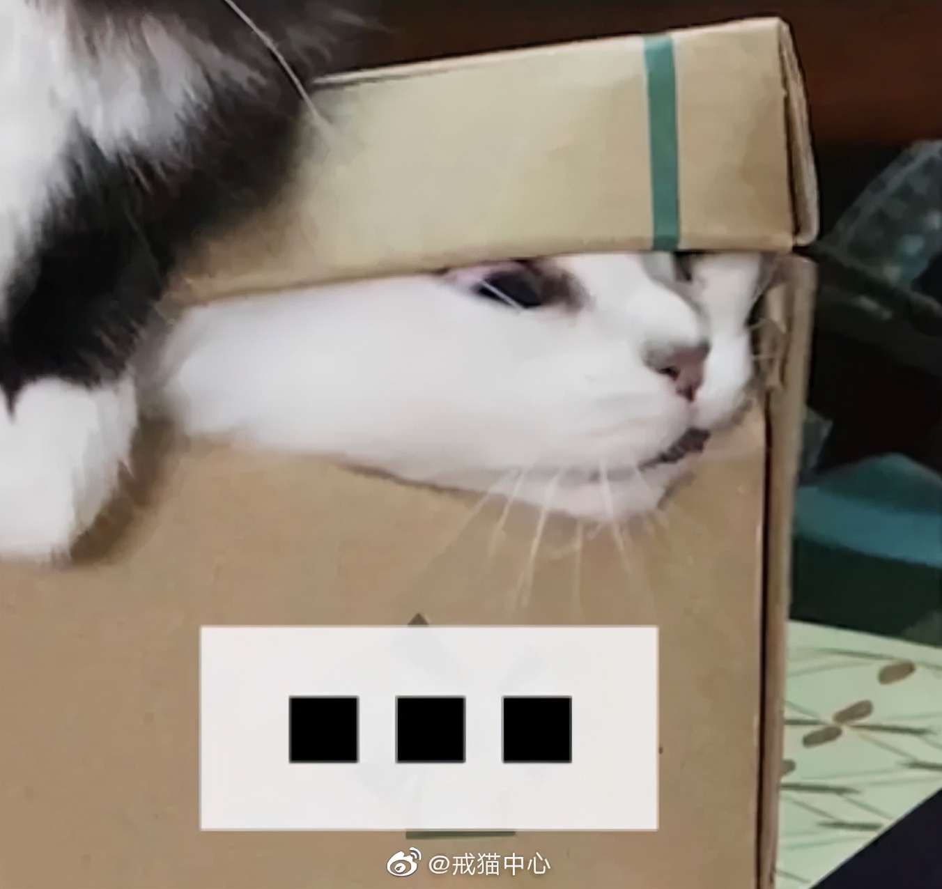 家里监控回放太揪心,家庭监控真实事件