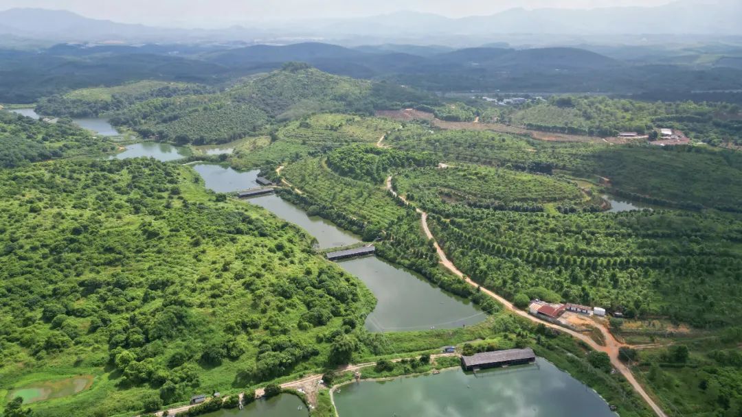 智库解析乡村振兴与三农问题,智库观察十个新走势