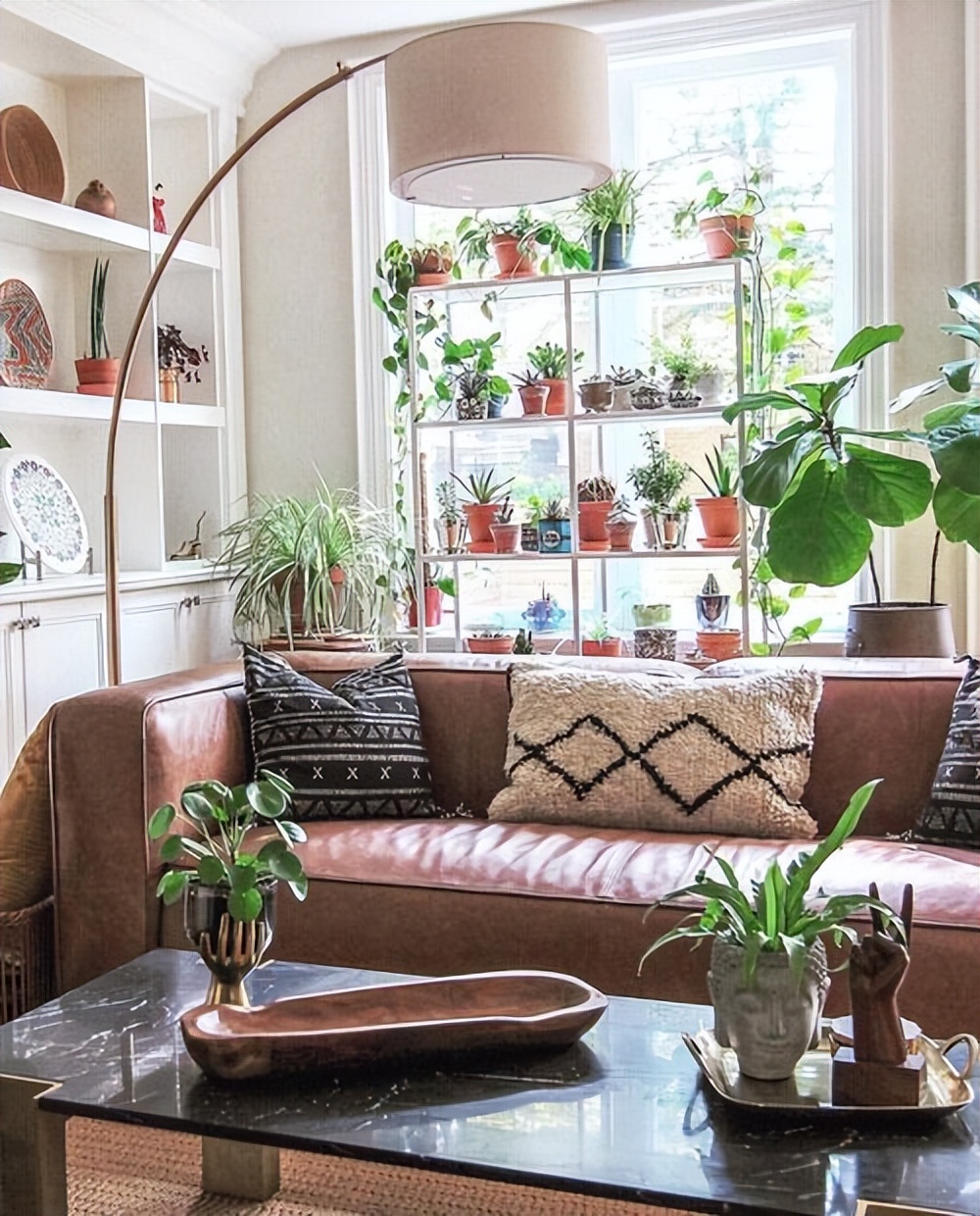 室内植物装饰推荐,室内植物装饰的选材和方法