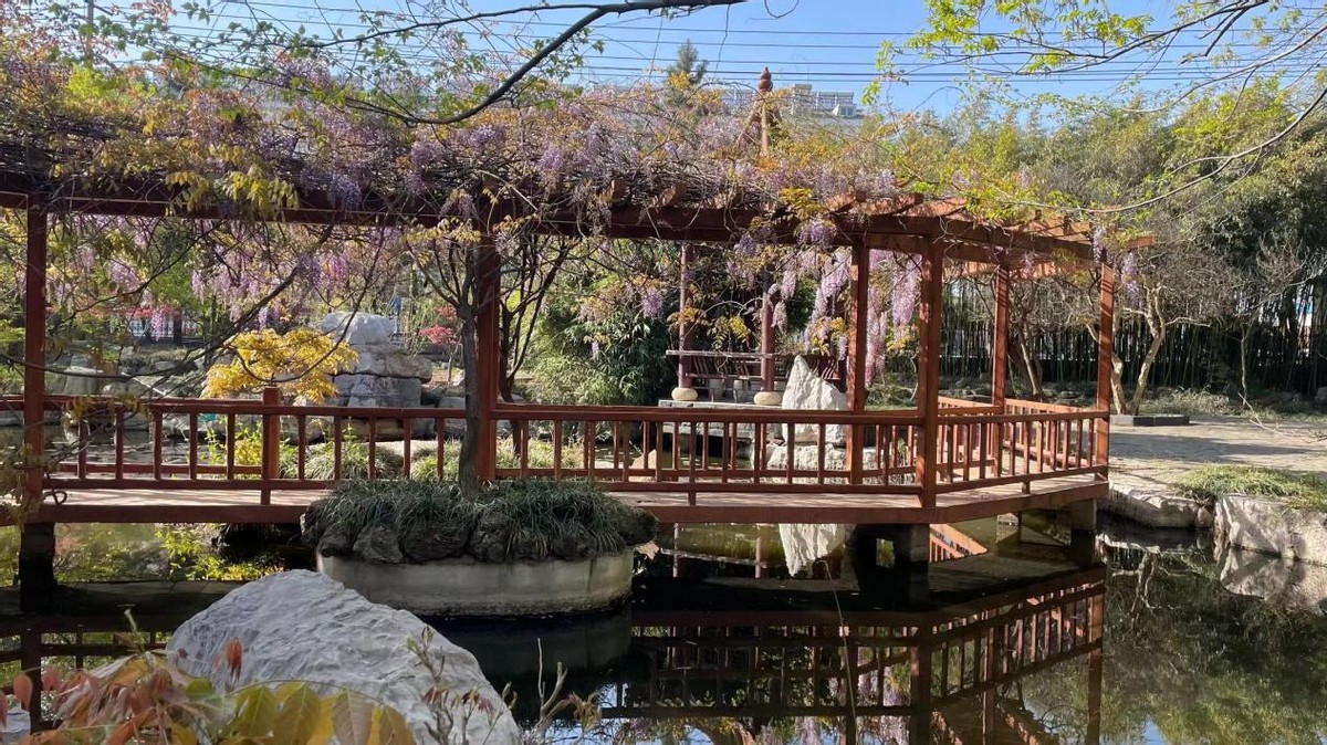 寻找最美春天｜花开四月，翻涌春日悸动！