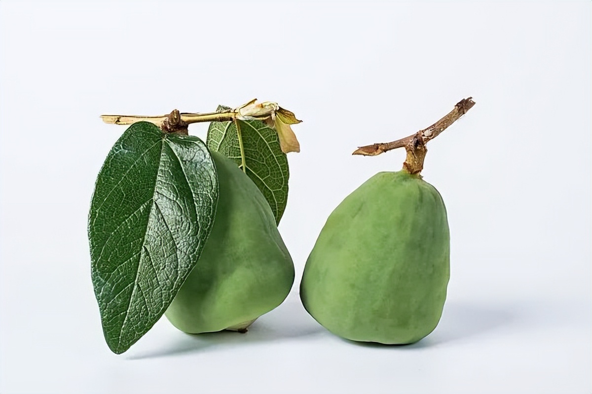 楚辞描写中药,楚辞中的养生