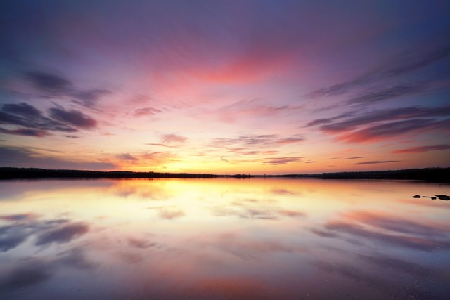 白菊多肉,白菊花夏枯草黄柏功效和作用