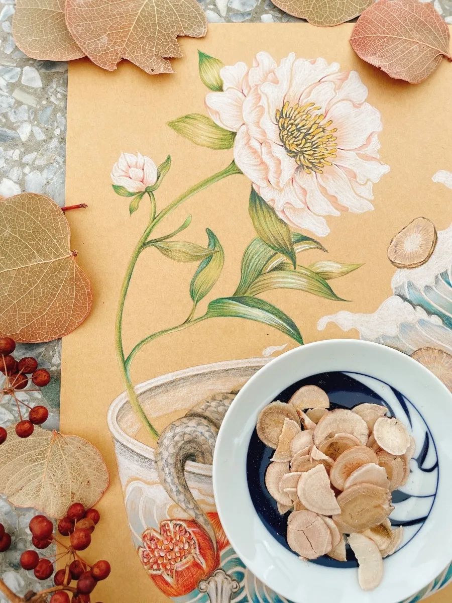 美翻了！在台湾中医师笔下，中药化为疗愈插画