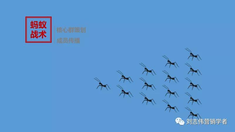 丁香园社群运营方案ppt,养老社区社群运营经验分享ppt