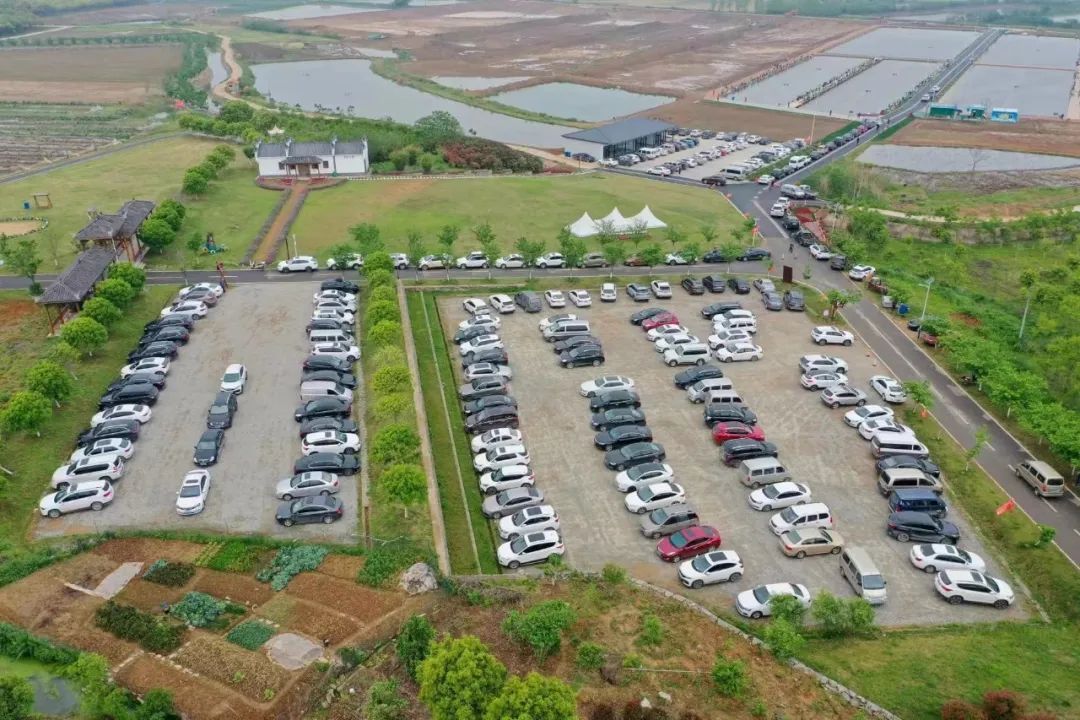 @钓鱼爱好者,这里有场钓鱼比赛邀你来参加