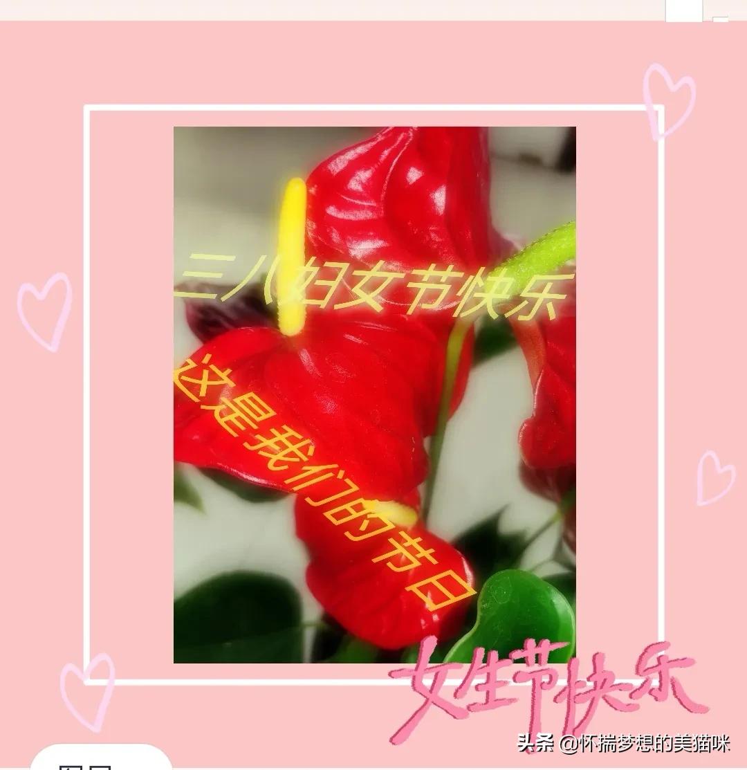 三八节送祝福语简短,三八妇女节搞笑祝福图片