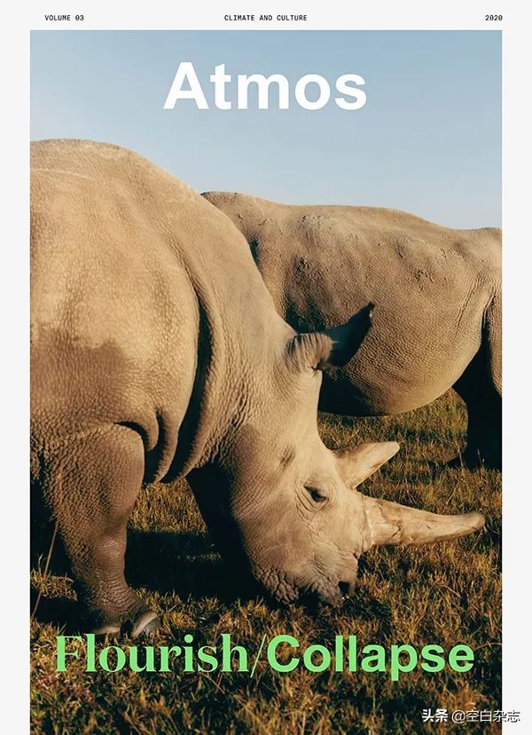 时尚杂志的风格特征,时尚杂志概况简介