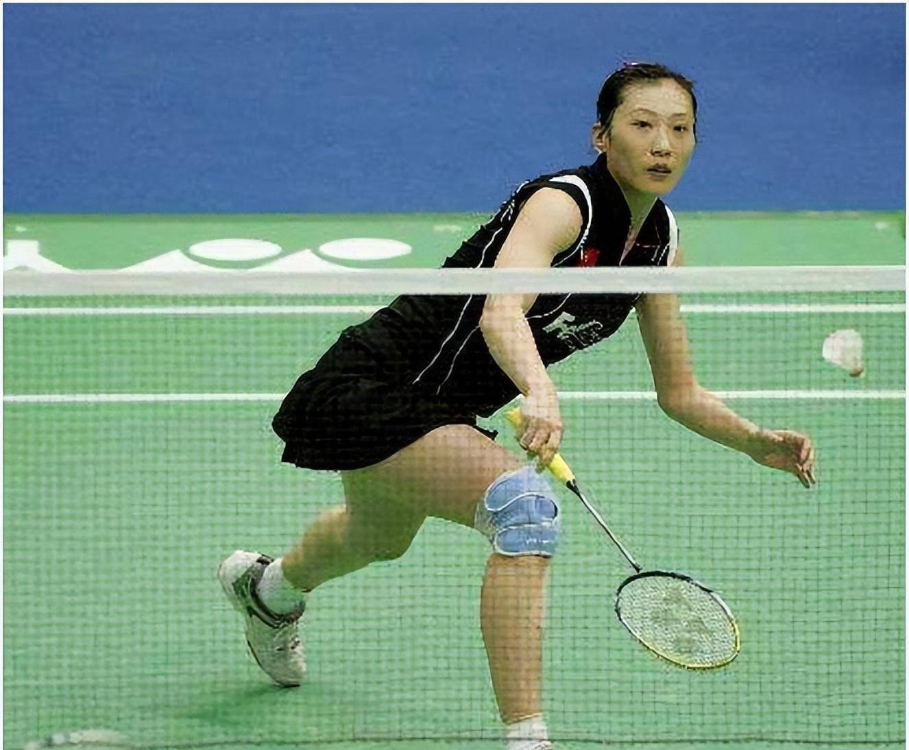 羽毛球冠军皮艳红为啥被开除,皮红艳被开除国家队