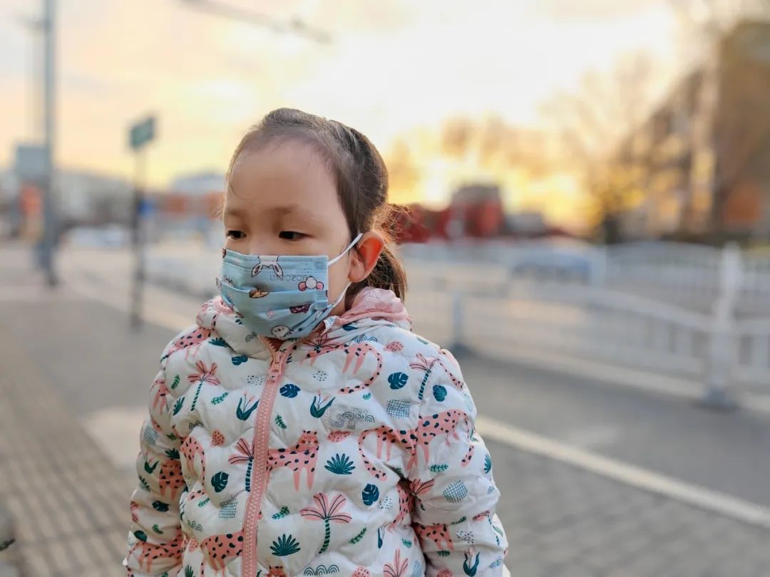 荣耀magic5pro和荣耀magic6,荣耀magic5pro价格