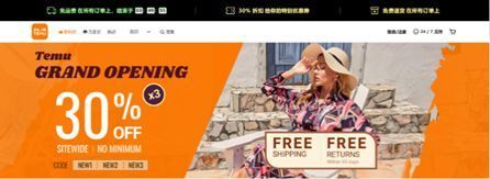 TEMU，乘风起，去何处？