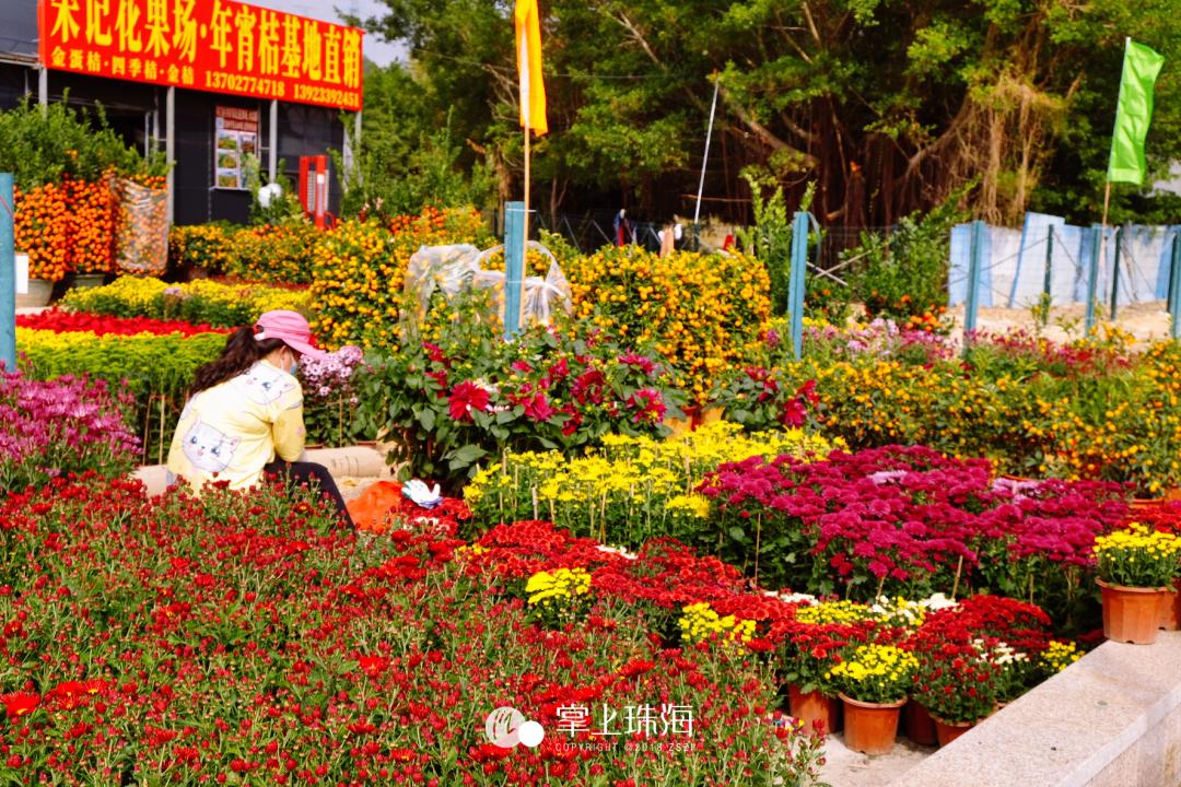 珠海哪个批发市场便宜,珠海有什么大型批发市场吗