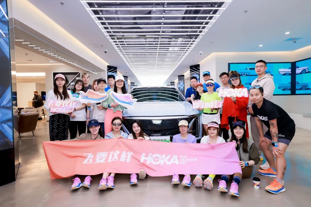 从阿尔卑斯山脉滑雪下来,从阿尔卑斯山飞下去