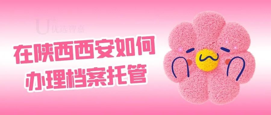 西安档案托管要求,西安档案托管处理中介