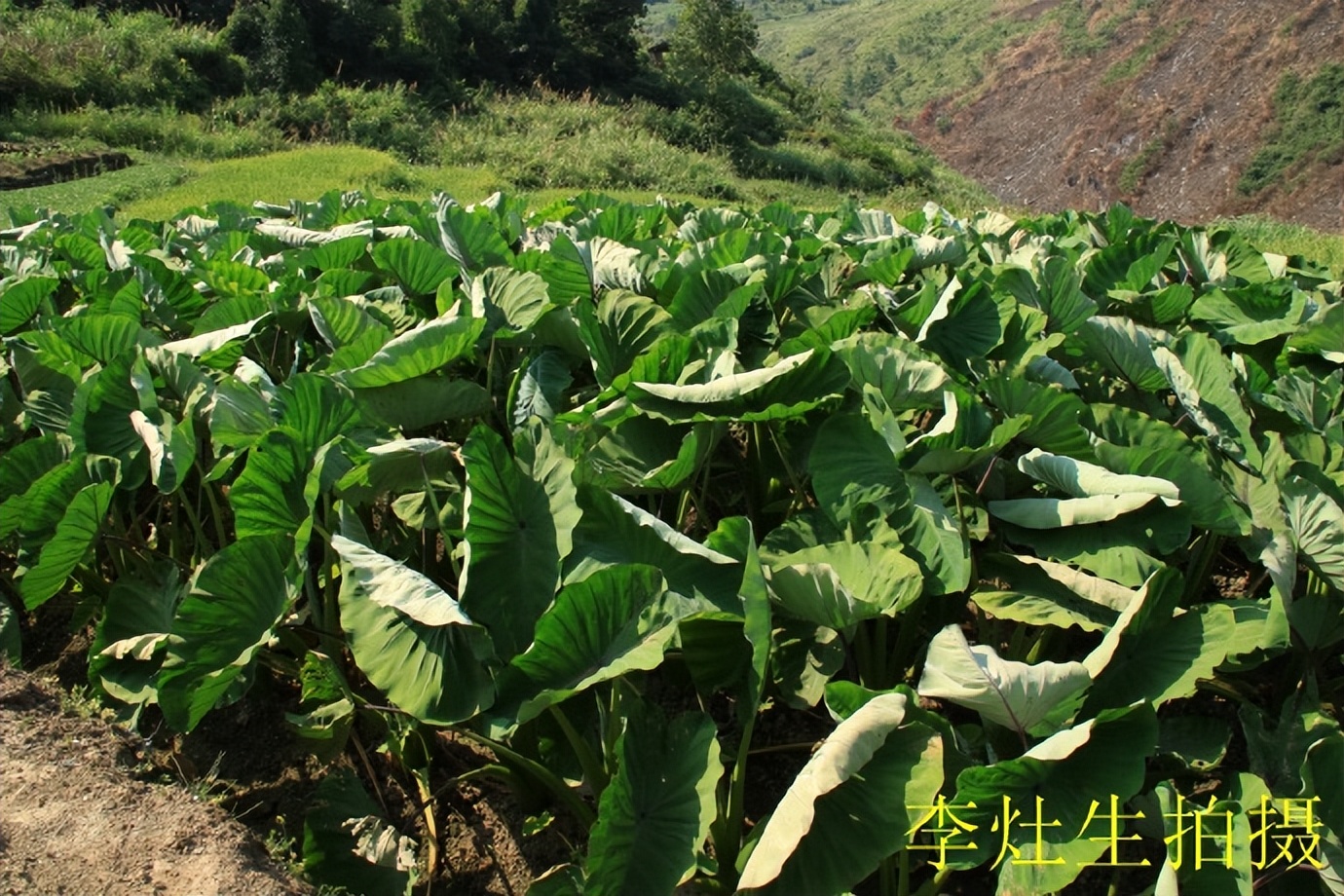 郴乐古道之水头江宜乐古道--广东省乐昌市庆云镇