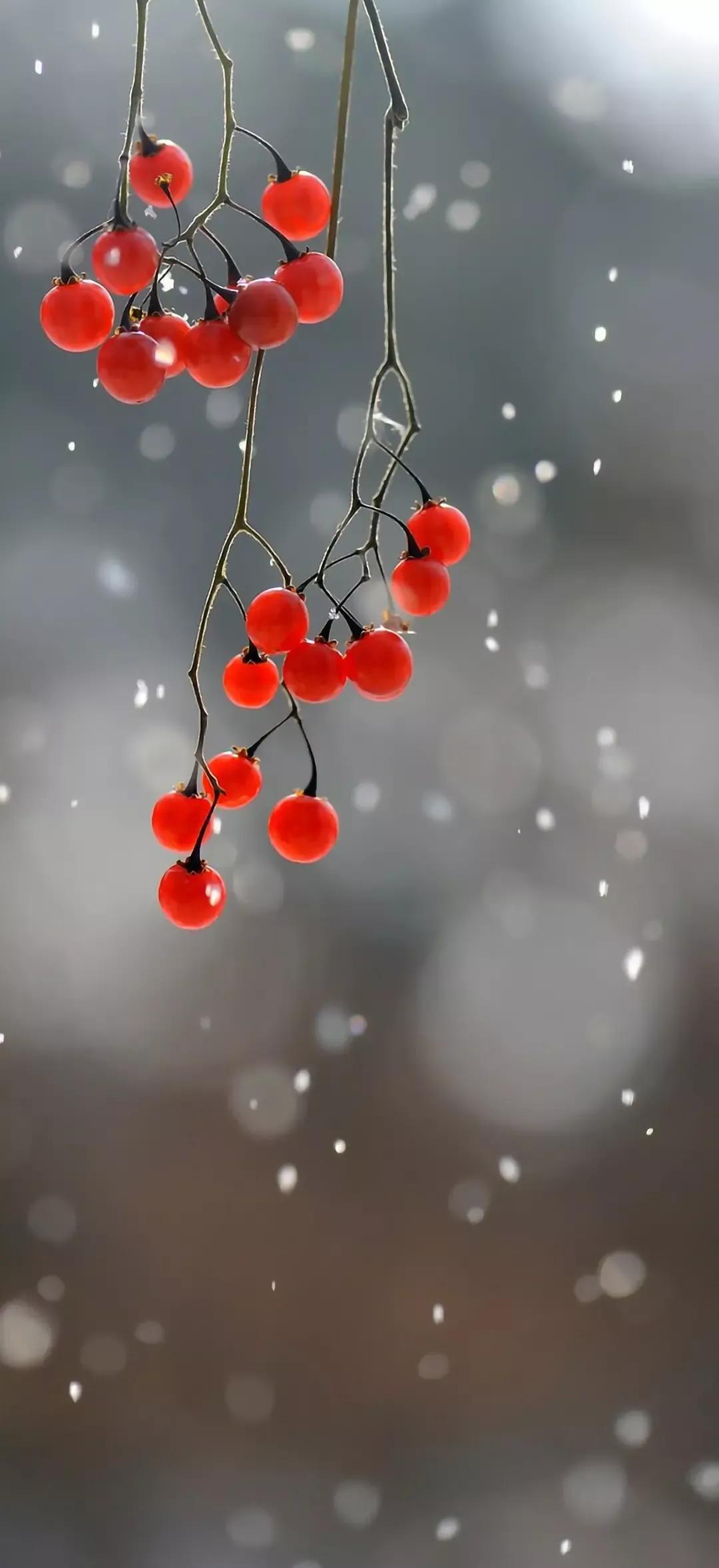 风生水起壁纸高清无水印,美女全屏无水印高清壁纸