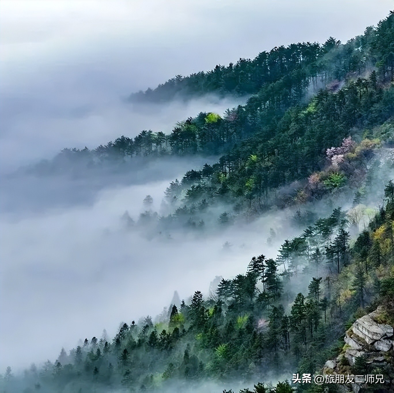 开封到三清山庐山篁岭四日游,江西出发旅游黄山三清山庐山