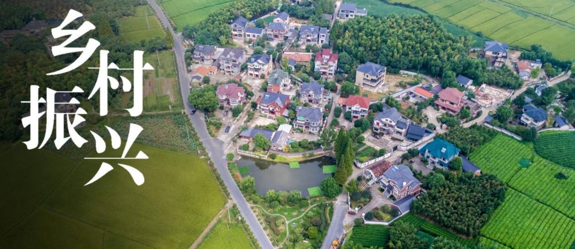 中建政研地方政府专项债,乡村振兴项目如何争取专项债