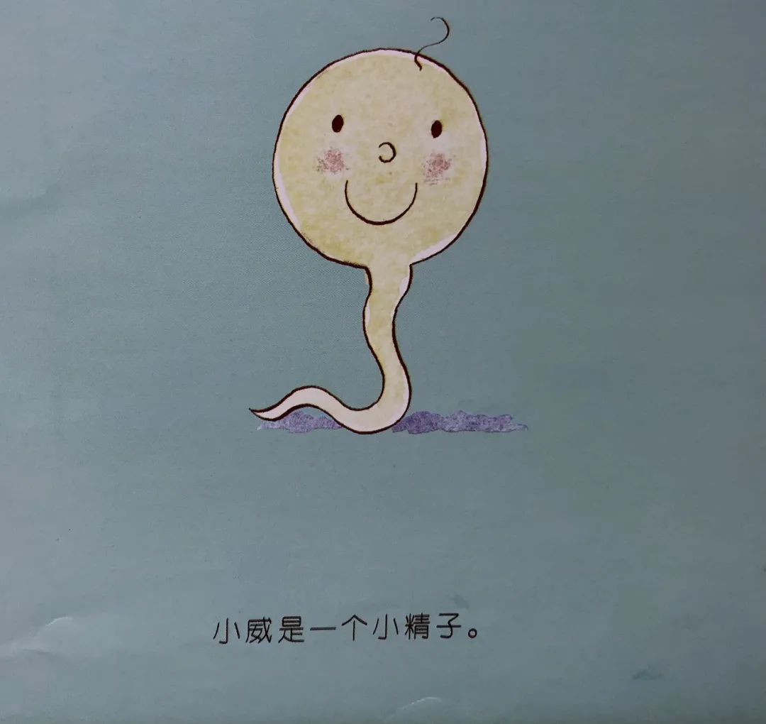 父母给儿子的早期性教育,爸爸妈妈我从哪里来视频