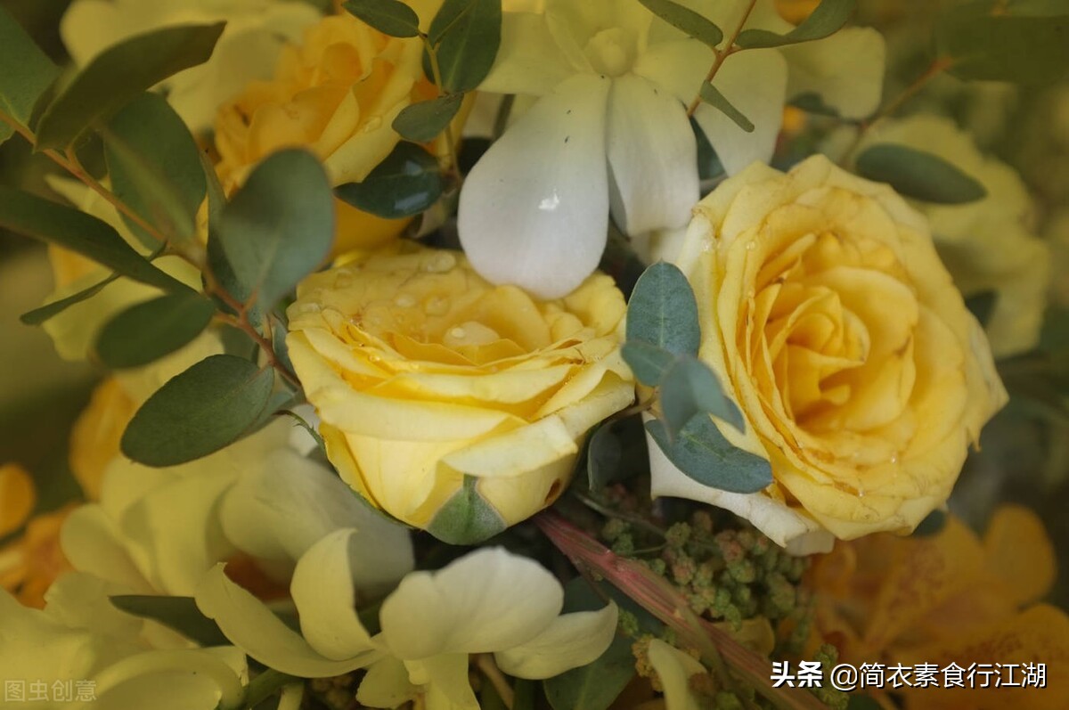 她做保姆这些年－豪门生活之危机公关（387）