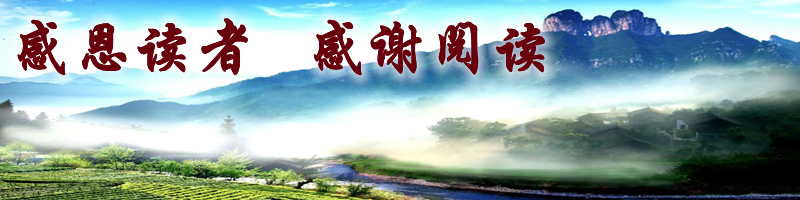 20世纪发生的大规模杀人事件,欧洲抢劫案真实案例