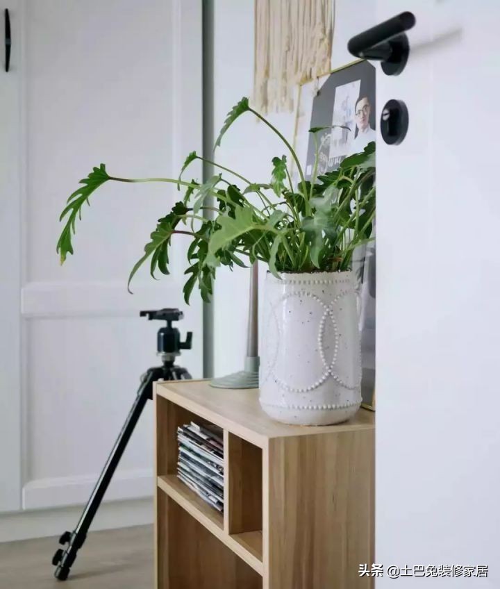 适合小夫妻住的两室一厅,90后小夫妻住30平米的房间吃什么