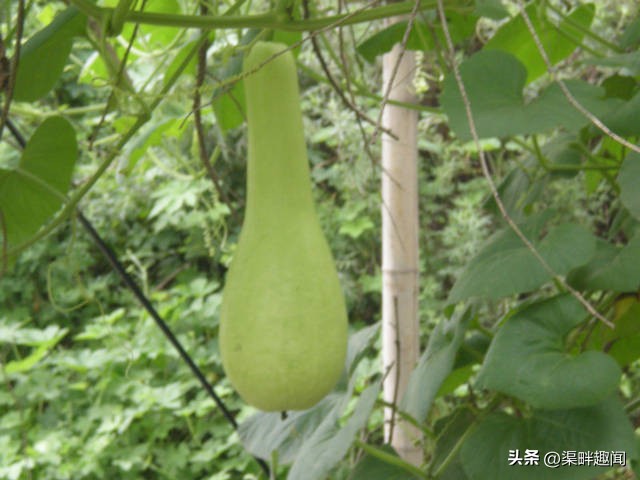 横水卸甲坪旅游路线,横水卸甲坪风景