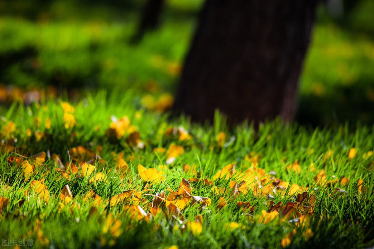 七十多岁牙一个都没掉,八十多岁不掉牙