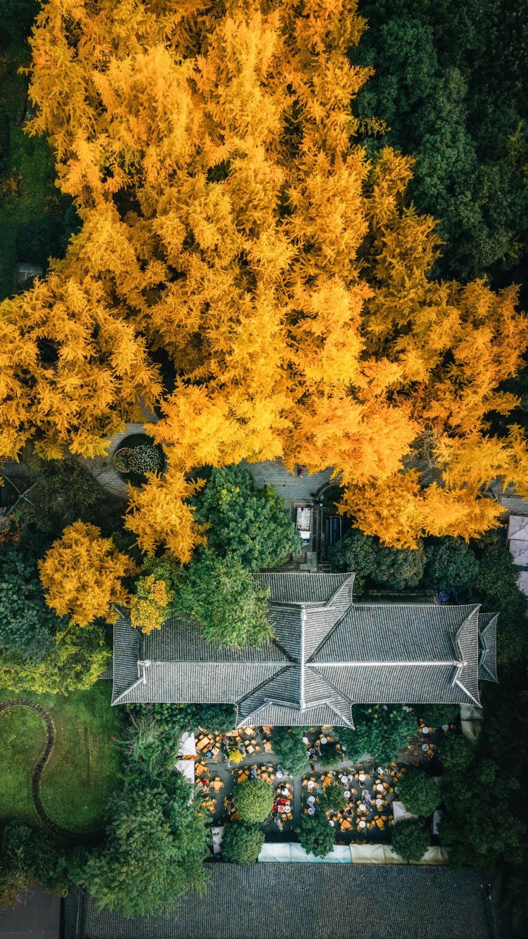 成都向上最新信息,年度向上力量合照