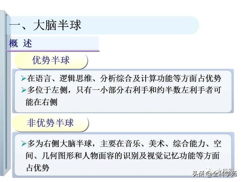 神经系统的影像与解剖定位,最全神经解剖图
