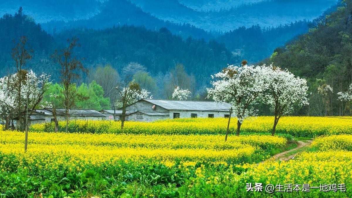 丈夫赌博作为妻子有责任吗,结婚后才知道老公有赌博史怎么办