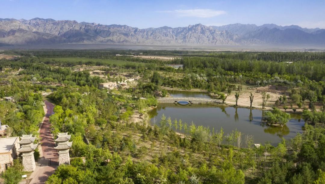 西夏区精品旅游路线,西夏区游玩热门推荐