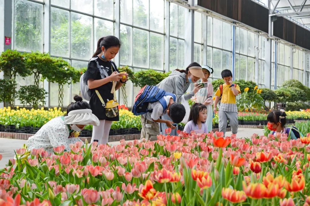 西安周边一日游自驾免费景区,2022全国免费景区一览表