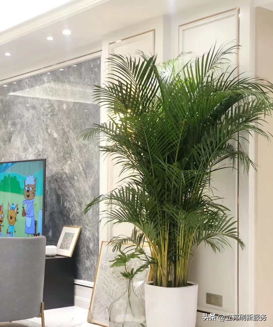 这些都是带有香味适合家养的绿植,适合放在家里的好养的绿植