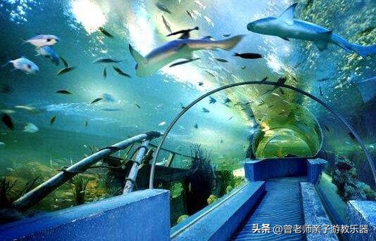 西安2023旅游攻略,2023年西安必去景点