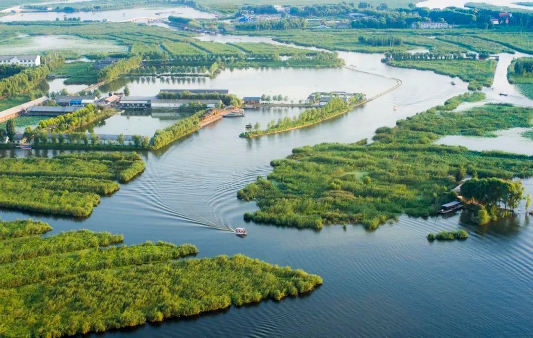 盛夏时节荷花盛开,盛夏去看荷花