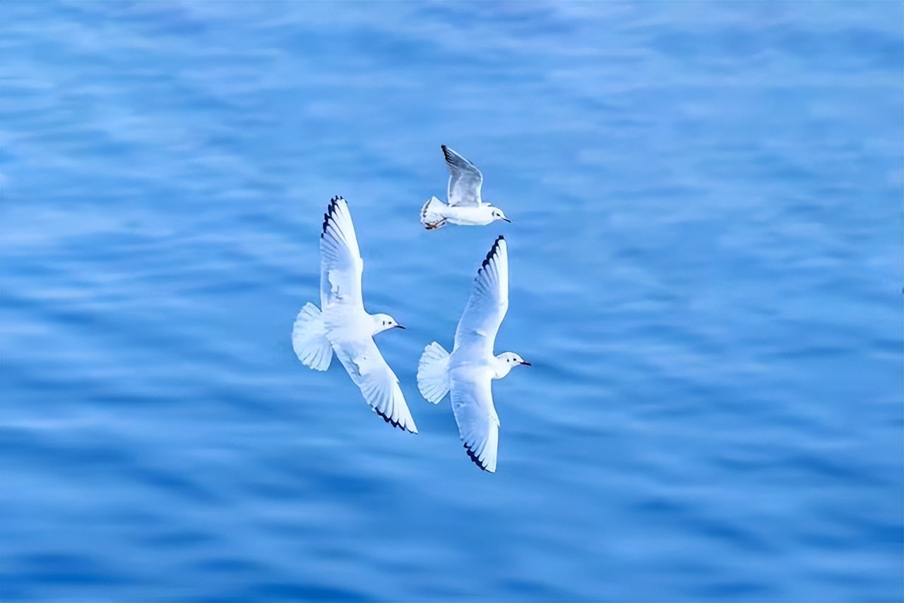 2022全国高考甲卷英语卷子,2021全国高考甲卷英语卷子