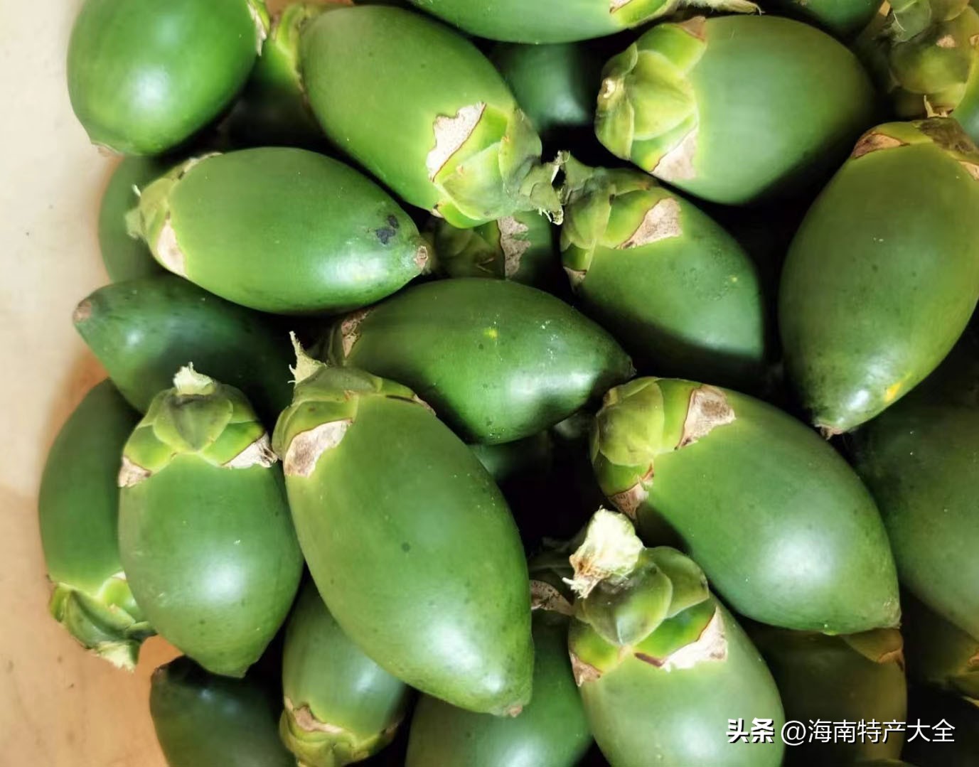 今日海南槟榔价格 (海南槟榔价格下跌)