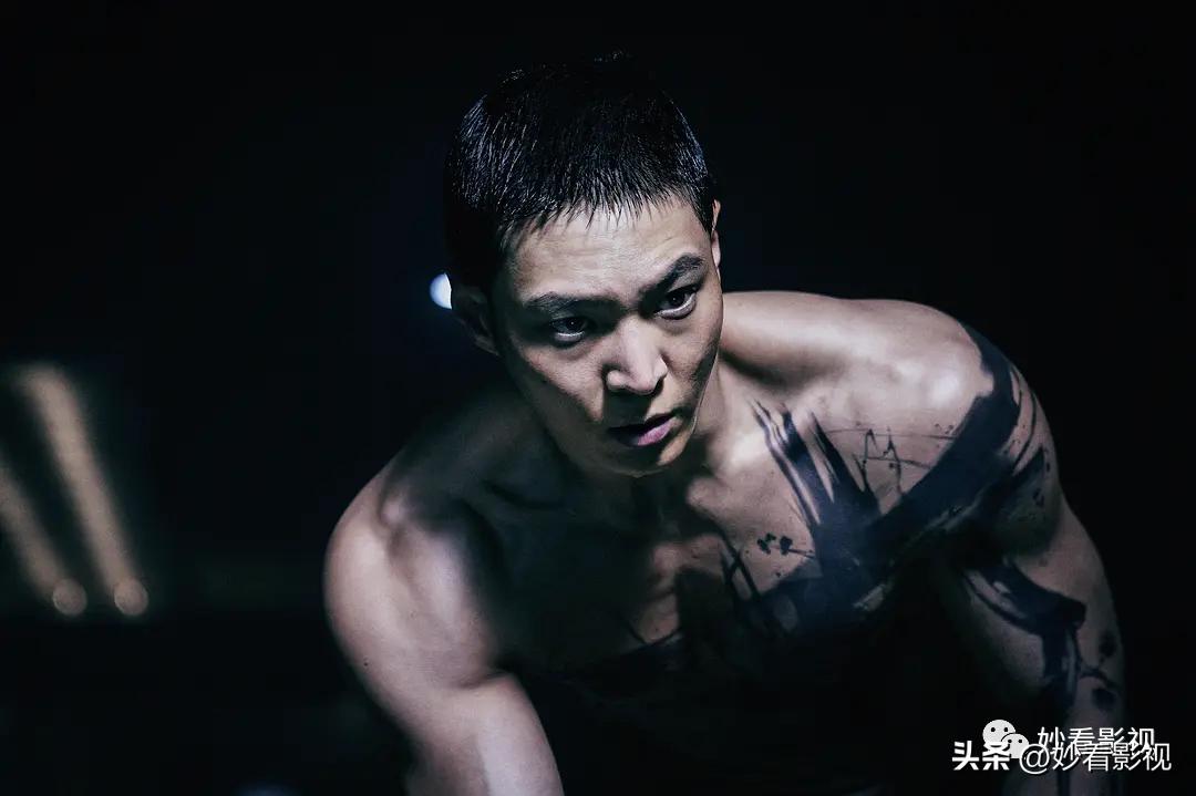 救命卡特2免费完整版在线观看,救命卡特在线观看高清免费完整版