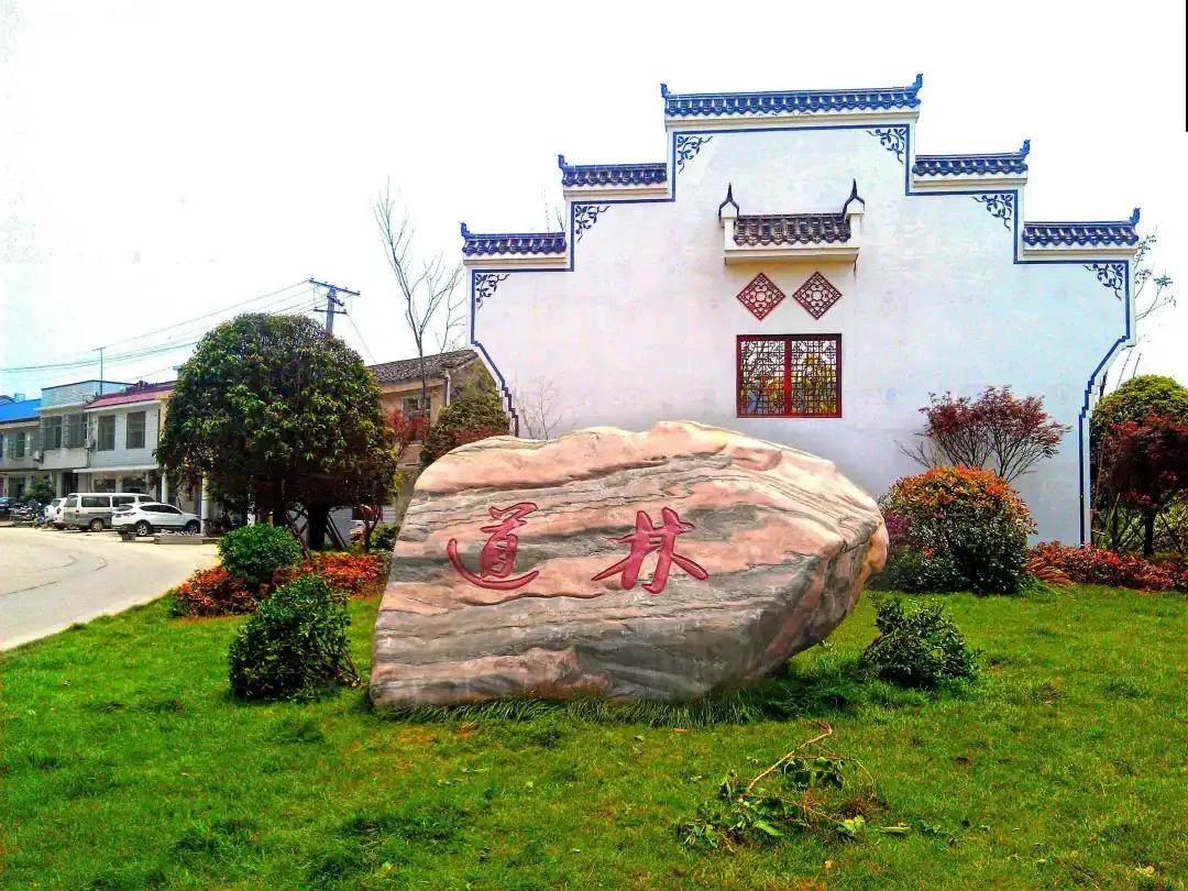 宁乡桃林镇,长沙市道林镇