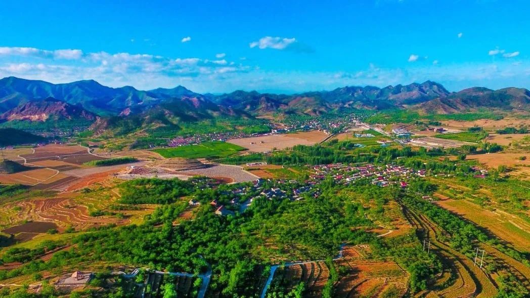 解析全国16个整村运营,解码全国16个整村运营经典案例