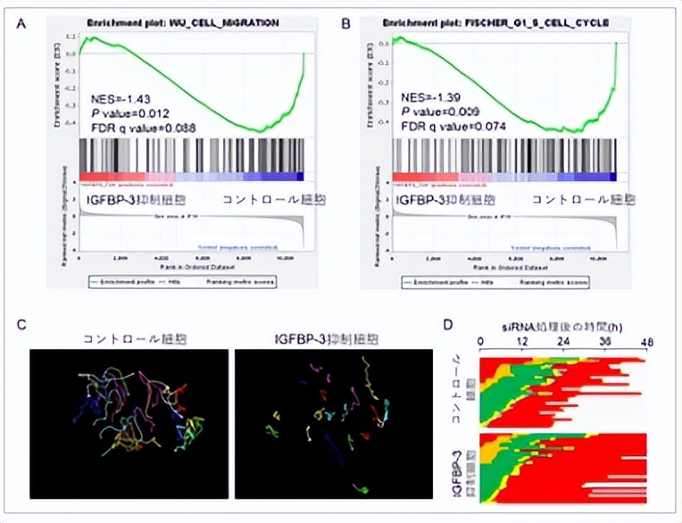 舌根癌靶向治疗,舌根癌的靶向药