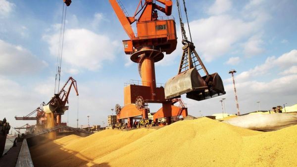 卡脖子美国,美国会不会停止对中国出口大豆