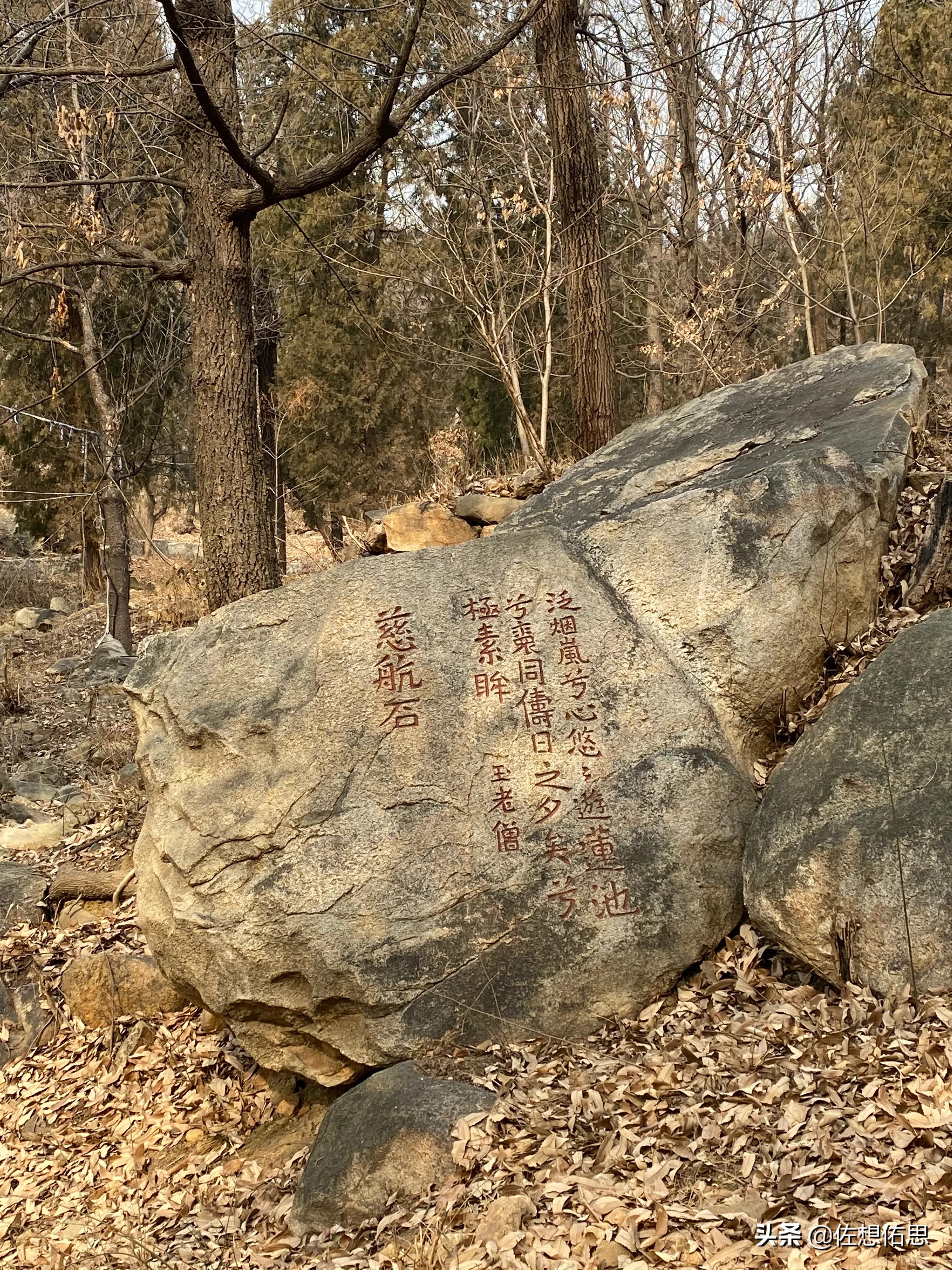 山东*安泰**普照寺东边的“荷花荡”是正在逐步修复吗？
