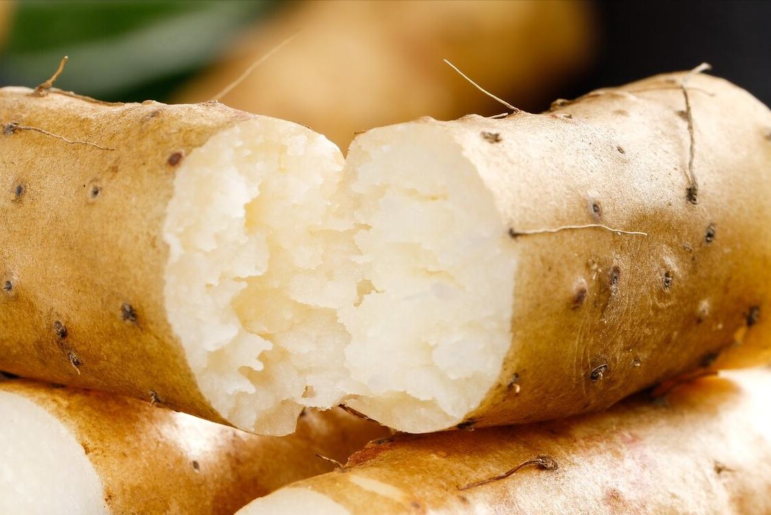 补肾养肾的七大食物推荐,哪些食物是滋阴补肾强筋健骨