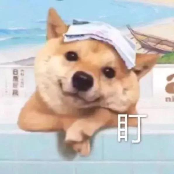 适合发朋友圈的文案沙雕可爱原神,朋友圈秀恩爱文案可爱沙雕