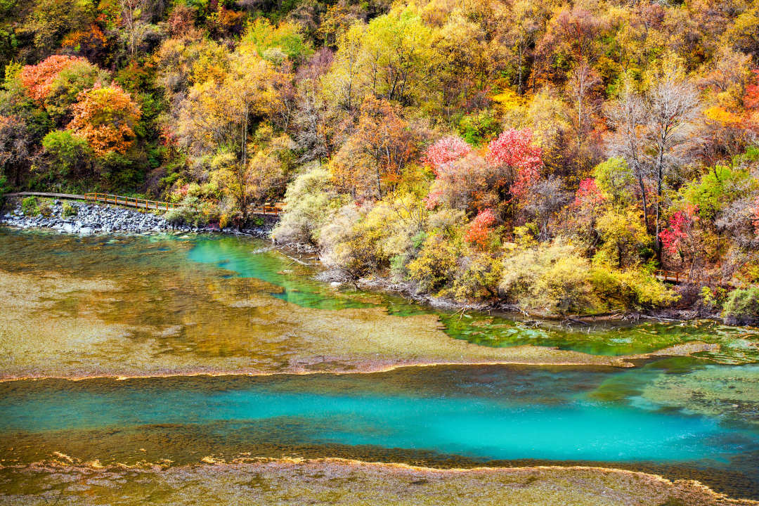 一天来回！别名“小九寨”的油画秋色、高山草甸，一站式游玩到底
